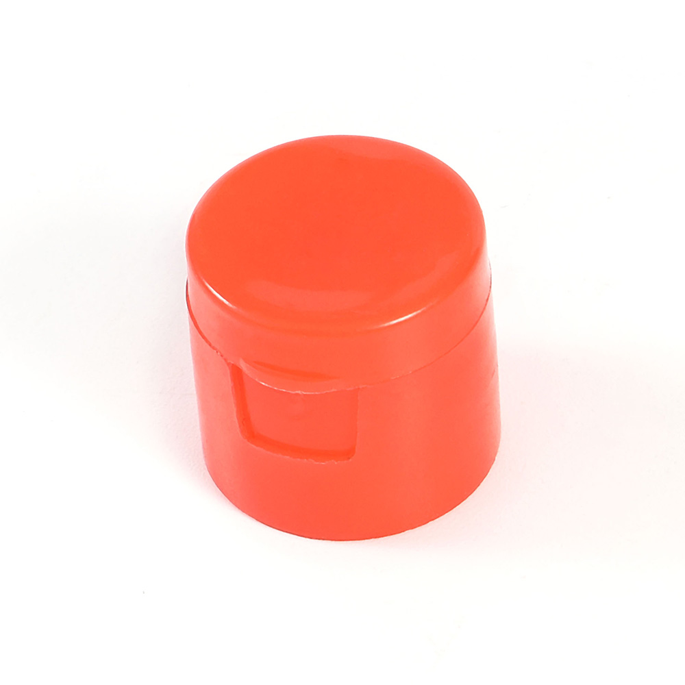 Flip top cap mould