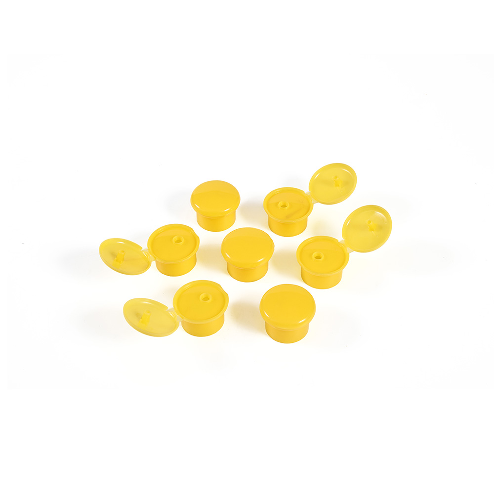 Flip top cap mould